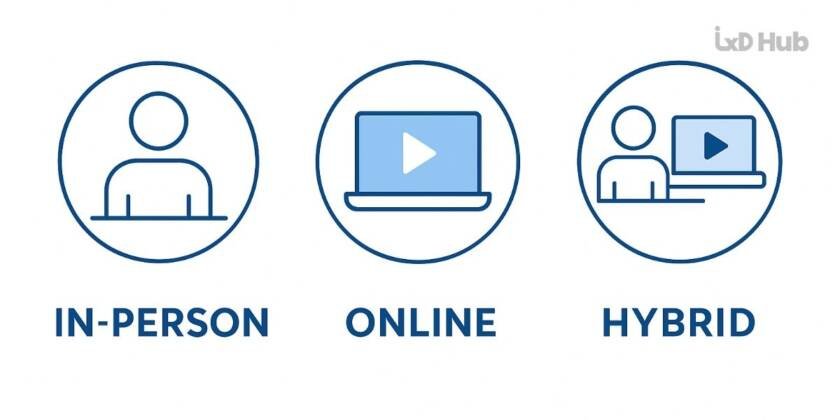 Structuring the Website for Clarity